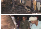 Farrukhabad News : झोपडी में आग लगने से  10 बकरियां जिंदा जलीं