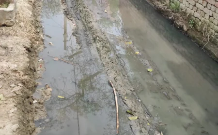 नगला जौ गांव में विकास कार्य ठप, गलियों में कीचड़ और जलभराव से ग्रामीण परेशान