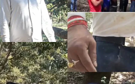 आम के बाग में फंदे से लटकता मिला अज्ञात सिक्योरिटी गार्ड का शव