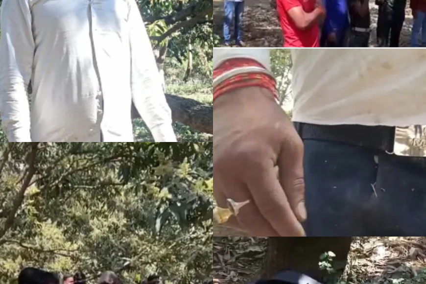 आम के बाग में फंदे से लटकता मिला अज्ञात सिक्योरिटी गार्ड का शव