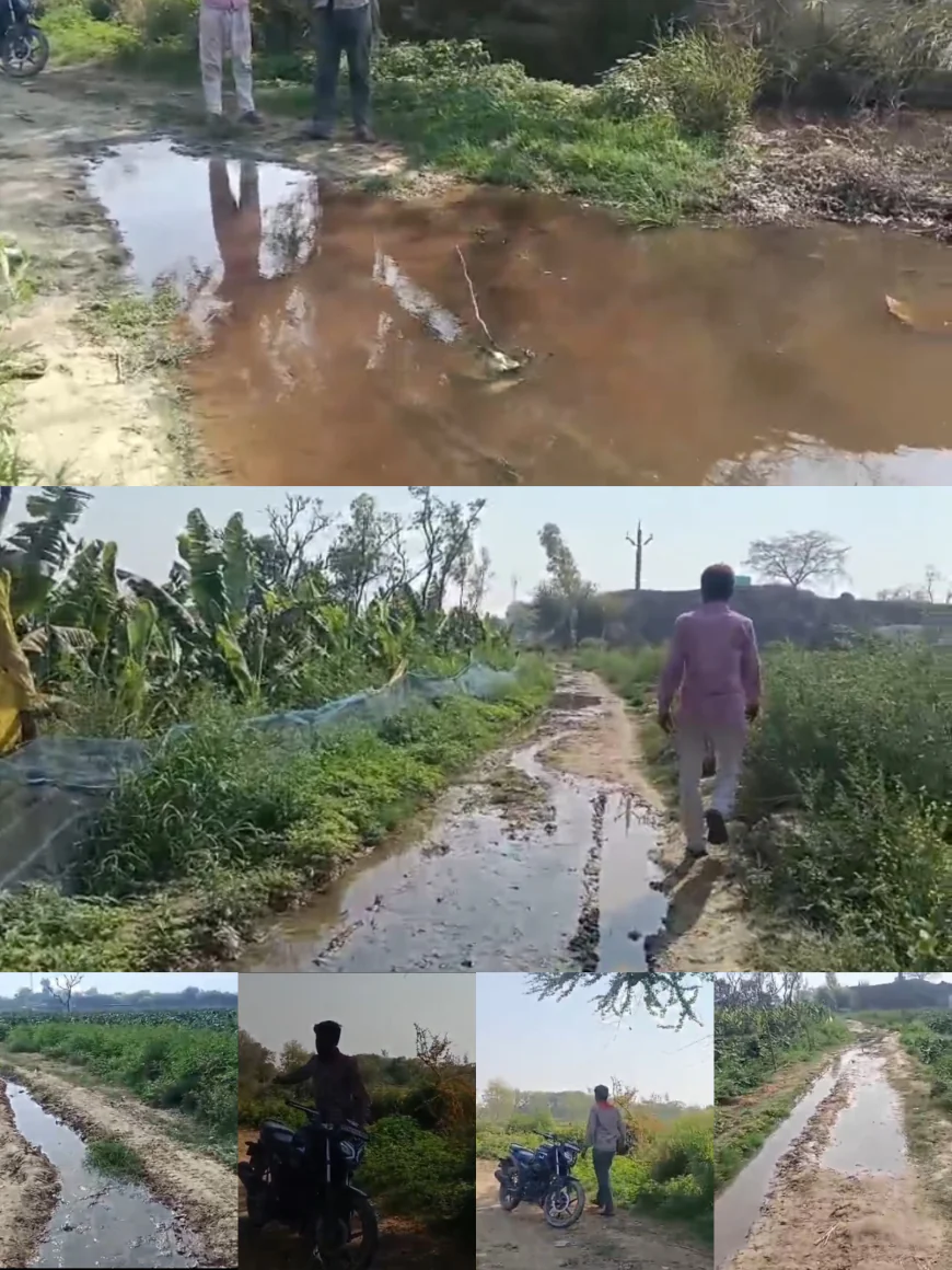 Farrukhabad : नाले के जलभराव से किसानों की फसलें बर्बाद, ग्राम प्रधान ने झाड़ा पल्ला