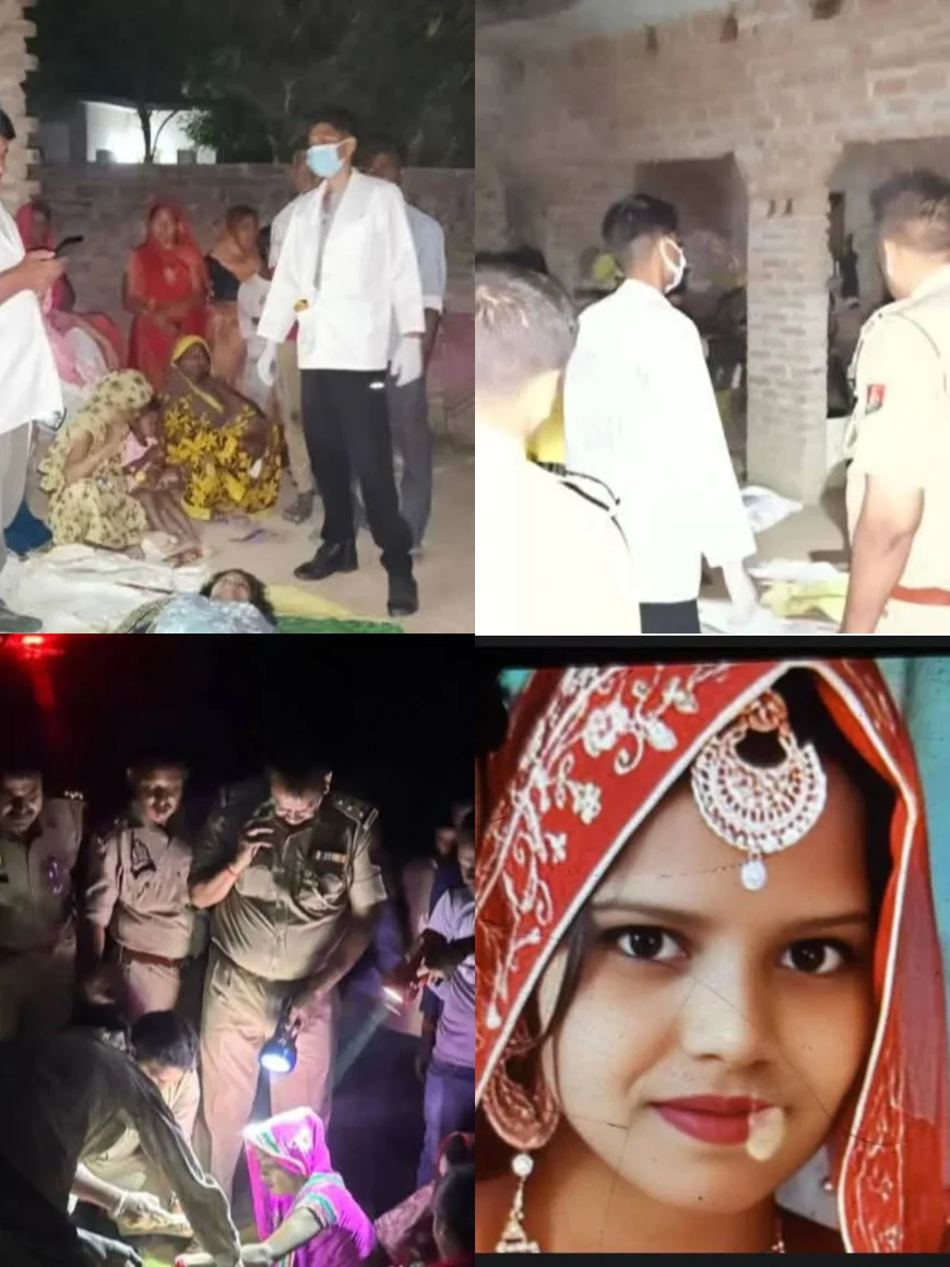 बंदरों के आतंक गर्भवती महिला की सीढ़ियों से गिरकर मौत, अजन्मे बच्चे ने भी तोड़ा दम