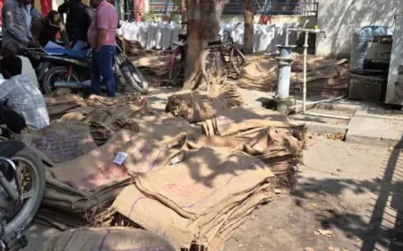 कायमगंज में गेहूं खरीद ने पकड़ी रफ्तार:  226 क्विंटल खरीद, 2585 रुपये प्रति क्विंटल मिल रहा समर्थन मूल्य