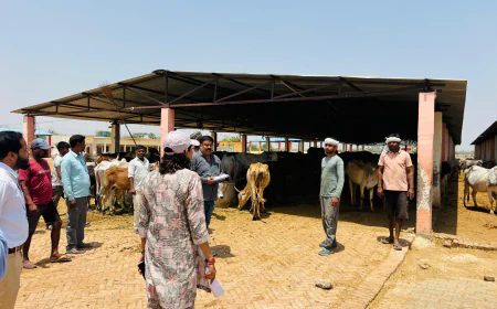 गौशाला निरीक्षण में लापरवाही उजागर, डीएम सख्त—अधिकारियों पर कार्रवाई