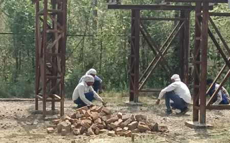 भीषण गर्मी में लाइनमैन से घास छिलवाई, बिजली विभाग पर गंभीर सवाल