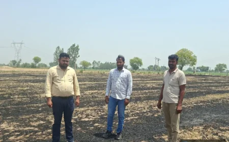 पराली जलाने पर सख्त कार्रवाई, किसानों से अपील—वैकल्पिक तरीकों को अपनाएं: उप कृषि निदेशक