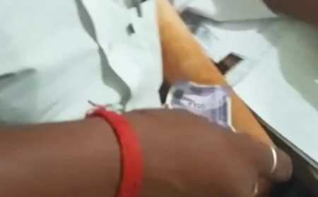 कानूनगो पर रिश्वत लेने का आरोप, वीडियो वायरल — जांच शुरू