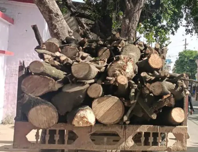 शमशाबाद में लकड़ी माफियाओं का आतंक: वन विभाग टीम पर हमला, ट्रैक्टर-ट्रॉली छोड़ फरार