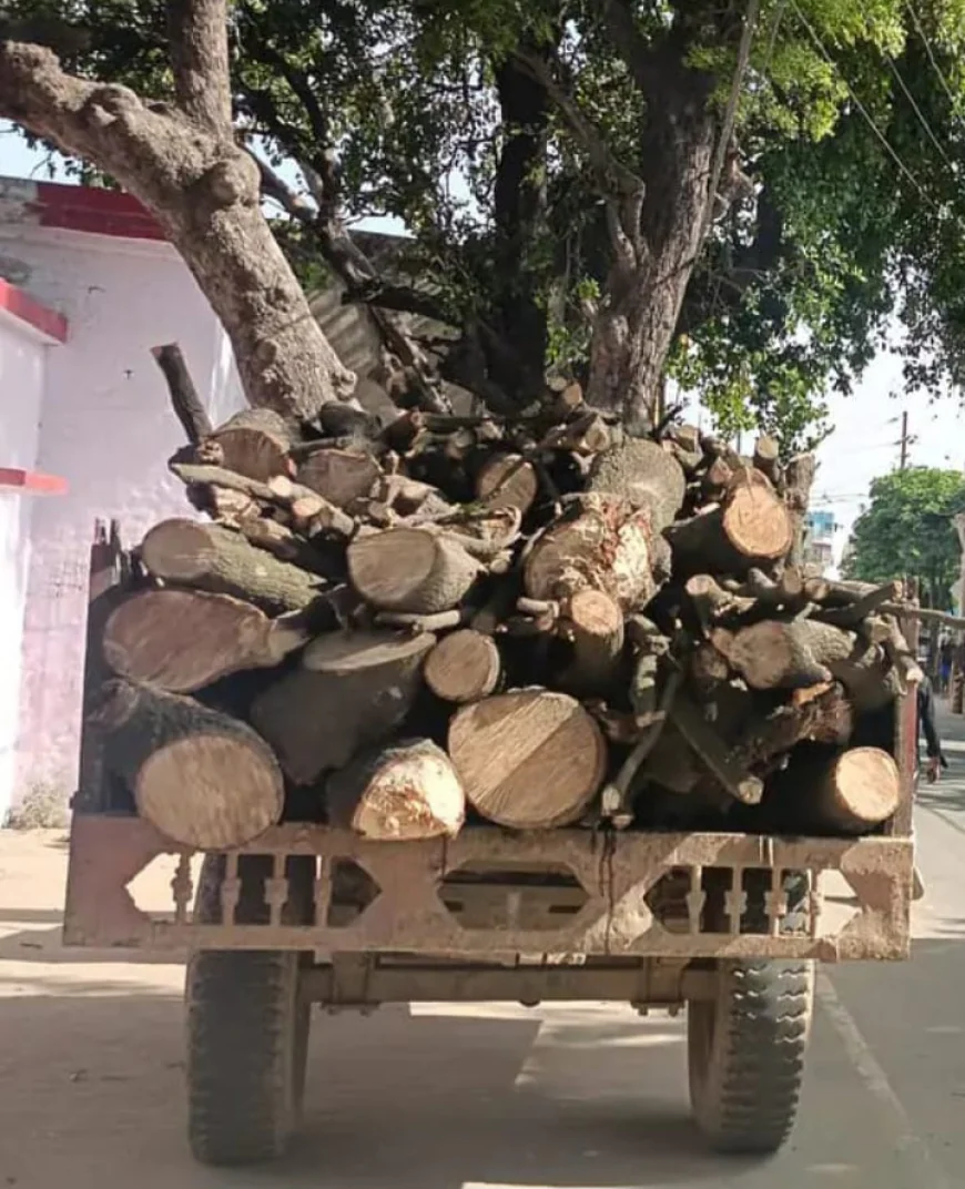 शमशाबाद में लकड़ी माफियाओं का आतंक: वन विभाग टीम पर हमला, ट्रैक्टर-ट्रॉली छोड़ फरार