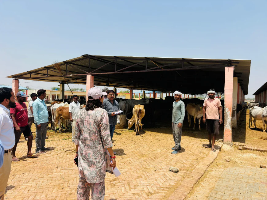 गौशाला निरीक्षण में लापरवाही उजागर, डीएम सख्त—अधिकारियों पर कार्रवाई