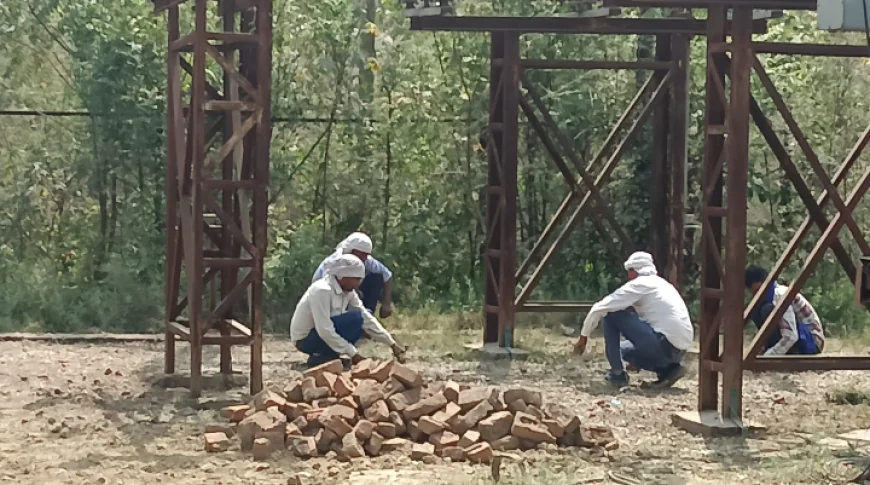 भीषण गर्मी में लाइनमैन से घास छिलवाई, बिजली विभाग पर गंभीर सवाल
