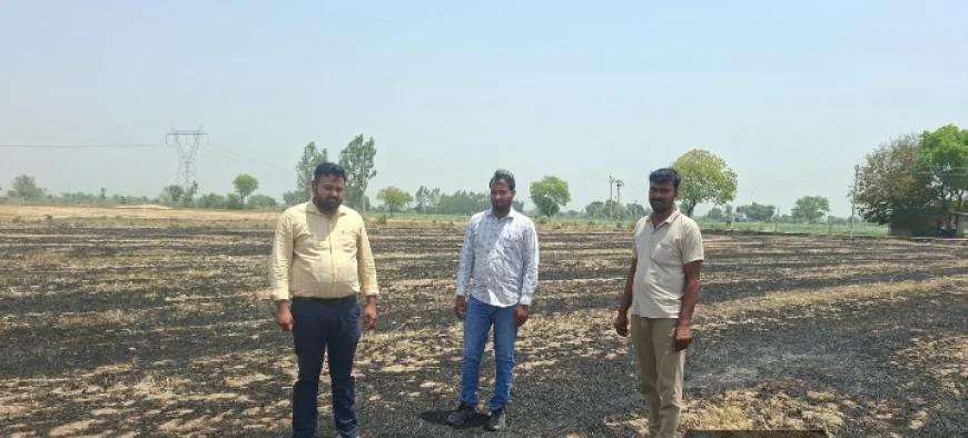 पराली जलाने पर सख्त कार्रवाई, किसानों से अपील—वैकल्पिक तरीकों को अपनाएं: उप कृषि निदेशक