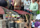 Farrukhabad News : चौपाल पर सो रहे युवकों पर चढ़ी तेज रफ्तार पिकअप, एक की मौत, दूसराअस्पताल में