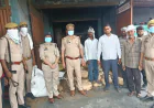 Kasganj news ऑपरेशन दहन" अभियान के तहत जनपद के थाना सहावर पर करीब 78,400,000/- रुपये का गाजा कराया गया विनष्टीकरण ।
