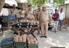 फर्रुखाबाद में नशा तस्करों पर बड़ा प्रहार, 29 लाख की ड्रग्स नष्ट