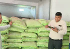 उर्वरक विक्रेताओं के प्रतिष्ठानों पर सघन औचक निरीक्षण अभियान जारी