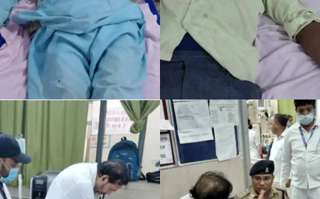 गंगा स्नान जा रही बस खाई में पलटी, 11 घायल, मची चीख-पुकार