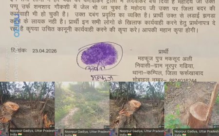 फर्रुखाबाद में हरे पेड़ों की अवैध कटाई, वन विभाग की भूमिका पर उठे सवाल