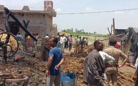 भीषण अग्निकांड से उजड़े पांच परिवार: 20 से अधिक मवेशी जिंदा जले