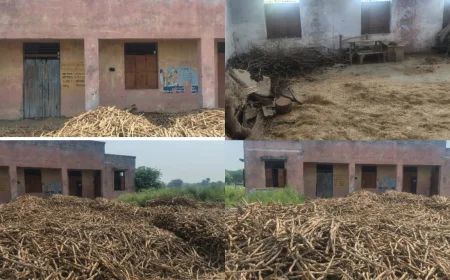 अहमदगंज में पशु चिकित्सालय पर अवैध कब्जा, भूसा-लकड़ी का बना गोदाम, ग्रामीणों में आक्रोश