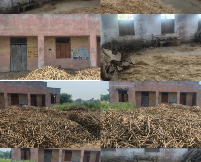अहमदगंज में पशु चिकित्सालय पर अवैध कब्जा, भूसा-लकड़ी का बना गोदाम, ग्रामीणों में आक्रोश