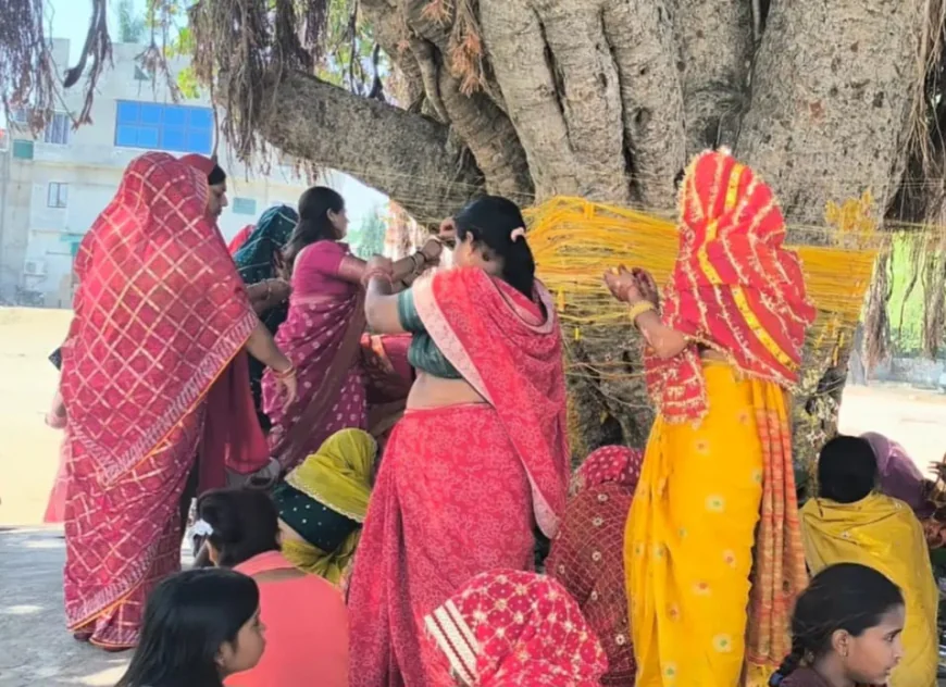 मैनपुरी में अखंड सौभाग्य के पर्व वट सावित्री की धूम, उमड़ा श्रद्धा का सैलाब