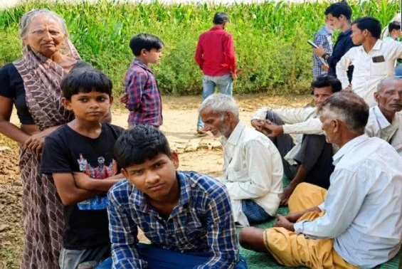 शमशाबाद में पशुपालक की तीन भैंसें चोरी, साढ़े तीन लाख का नुकसान