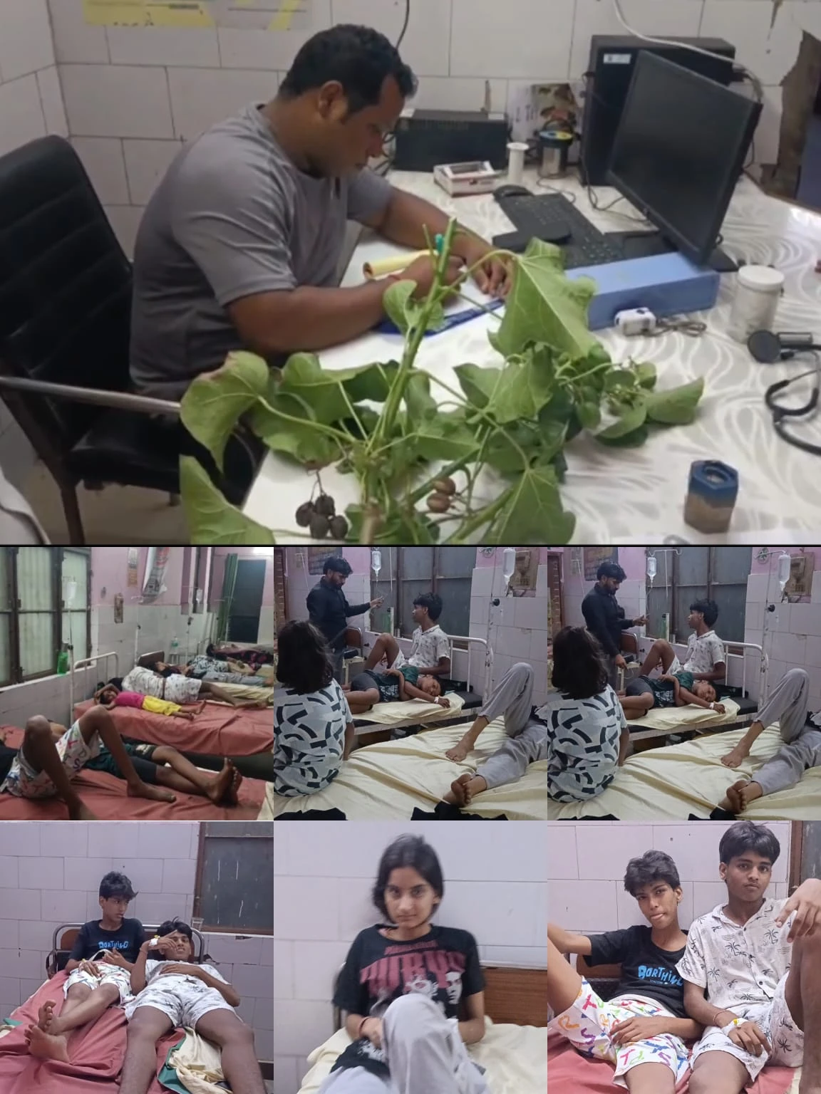 रेलवे द्वारा लगाए गए जटरोफा के फल खाने से महिला समेत सात बच्चों की तबीयत बिगड़ी, सीएचसी में भर्ती