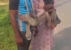 भाभी-देवर को प्रेम प्रसंग के शक में दी गई अपमानजनक सजा, जूतों की माला पहनाकर गांव में घुमाया