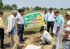 जनपद में मृदा नमूना एकत्रिकरण अभियान का आयोजन