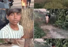 भैंस चोरों के हौसले बुलंद, पुलिस बेखबर: ग्रामीणों ने एक दबोचा, दो की पहचान वीडियो से