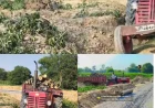 सड़क चौड़ीकरण में कटे पेड़ों की लकड़ी पर उठे सवाल, वन विभाग पर मिलीभगत के आरोप