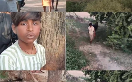 भैंस चोरों के हौसले बुलंद, पुलिस बेखबर: ग्रामीणों ने एक दबोचा, दो की पहचान वीडियो से