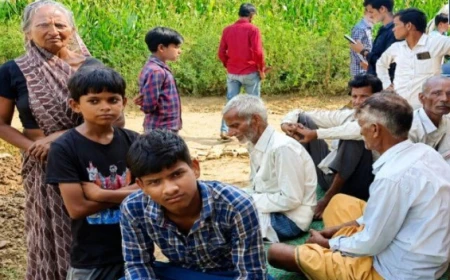 शमशाबाद में पशुपालक की तीन भैंसें चोरी, साढ़े तीन लाख का नुकसान