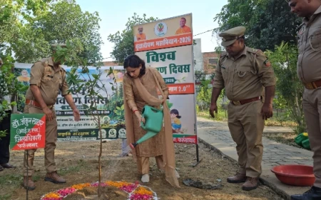 विश्व पर्यावरण दिवस पर डीएम ने किया वृक्षारोपण