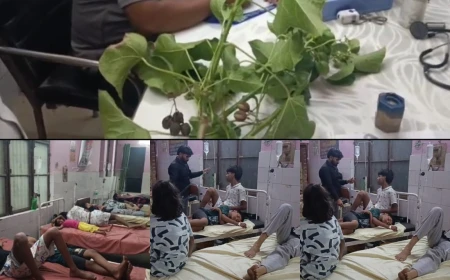 रेलवे द्वारा लगाए गए जटरोफा के फल खाने से महिला समेत सात बच्चों की तबीयत बिगड़ी, सीएचसी में भर्ती