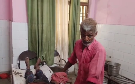 जामुन तोड़ने पेड़ पर चढ़ी 12 वर्षीय बालिका की गिरकर मौत, परिवार में मचा कोहराम