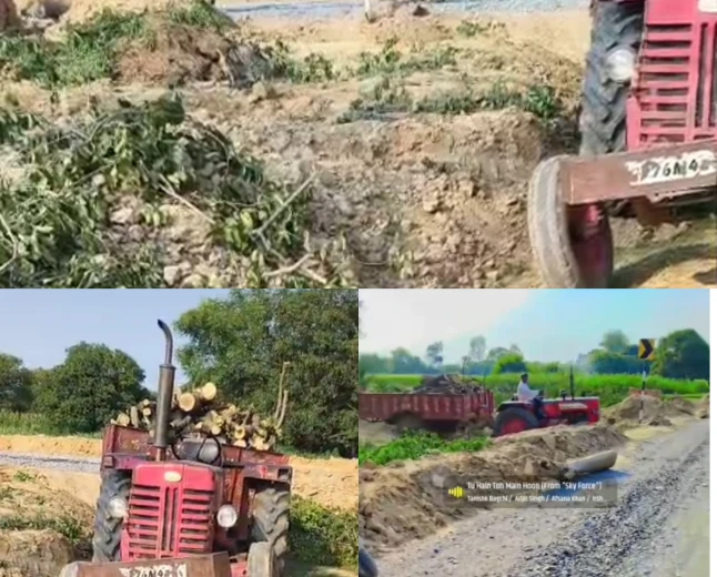 सड़क चौड़ीकरण में कटे पेड़ों की लकड़ी पर उठे सवाल, वन विभाग पर मिलीभगत के आरोप