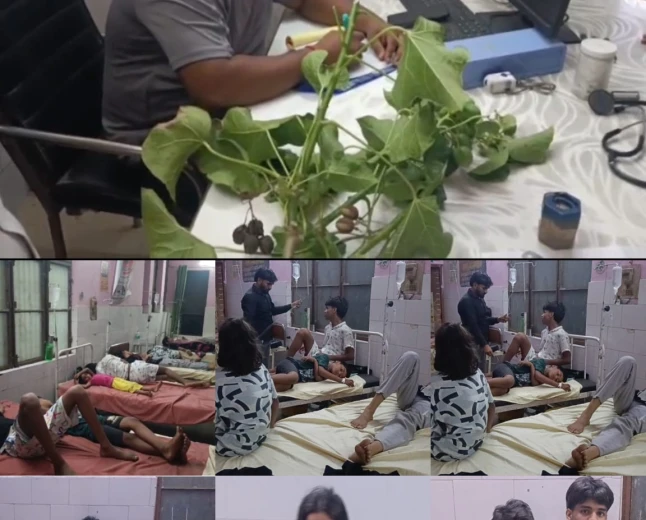रेलवे द्वारा लगाए गए जटरोफा के फल खाने से महिला समेत सात बच्चों की तबीयत बिगड़ी, सीएचसी में भर्ती