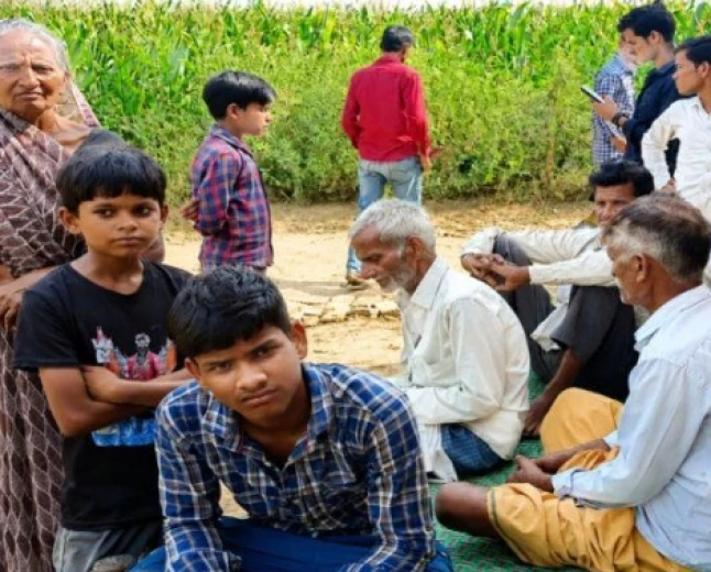 शमशाबाद में पशुपालक की तीन भैंसें चोरी, साढ़े तीन लाख का नुकसान