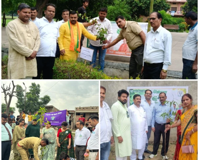 विश्व पर्यावरण दिवस पर स्कूलों में वृक्षारोपण और पर्यावरण जागरूकता का संदेश