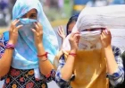 बारिश के बाद निकली चिलचिलाती धूप ने बढ़ाई उमस, गर्मी से दिनभर बेहाल रहे लोग