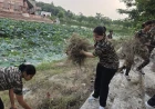 अगर हर हाथ उठे सफाई के लिए, तो हर गांव बने स्वच्छता की मिसाल