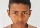 नदी में मगरमच्छ ने 12 वर्षीय बालक को बनाया निवाला, चाचा की आंखों के सामने खींच ले गया