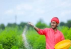 इस राज्य के किसानों का ₹2 लाख तक का लोन माफ होगा