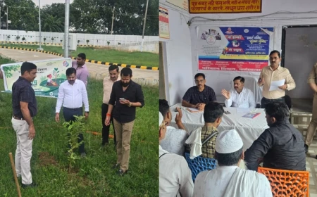 बकाया टैक्स वाले 30 वाहन नीलाम, बिना कर जमा किए सड़क पर दौड़े तो होगी सीधी सीज कार्रवाई