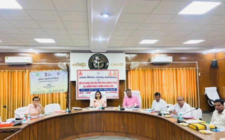 दुनिया की थाली में परोसा जाएगा फर्रुखाबाद का आलू! डीएम ने बनाई एक्सपोर्ट की नई रणनीति, किसानों की आय बढ़ाने की तैयारी