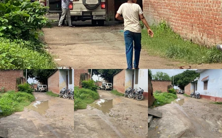 GST का ताबड़तोड़ शिकंजा, तंबाकू मंडी में SIB का धावा, 83 हजार किलो बिना हिसाब तंबाकू जब्त, दो गोदाम सील