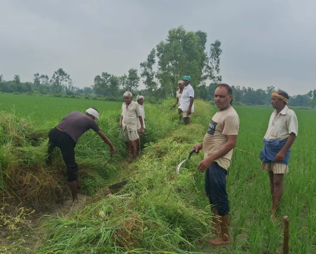 Kasganj news शिकायतों के बाद भी नहीं हुई गूल की सफाई, किसानों ने खुद संभाली जिम्मेदारी