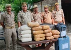 फतेहगढ़ पुलिस का ऑपरेशन दहन: 64 किलो से अधिक गांजा नष्ट